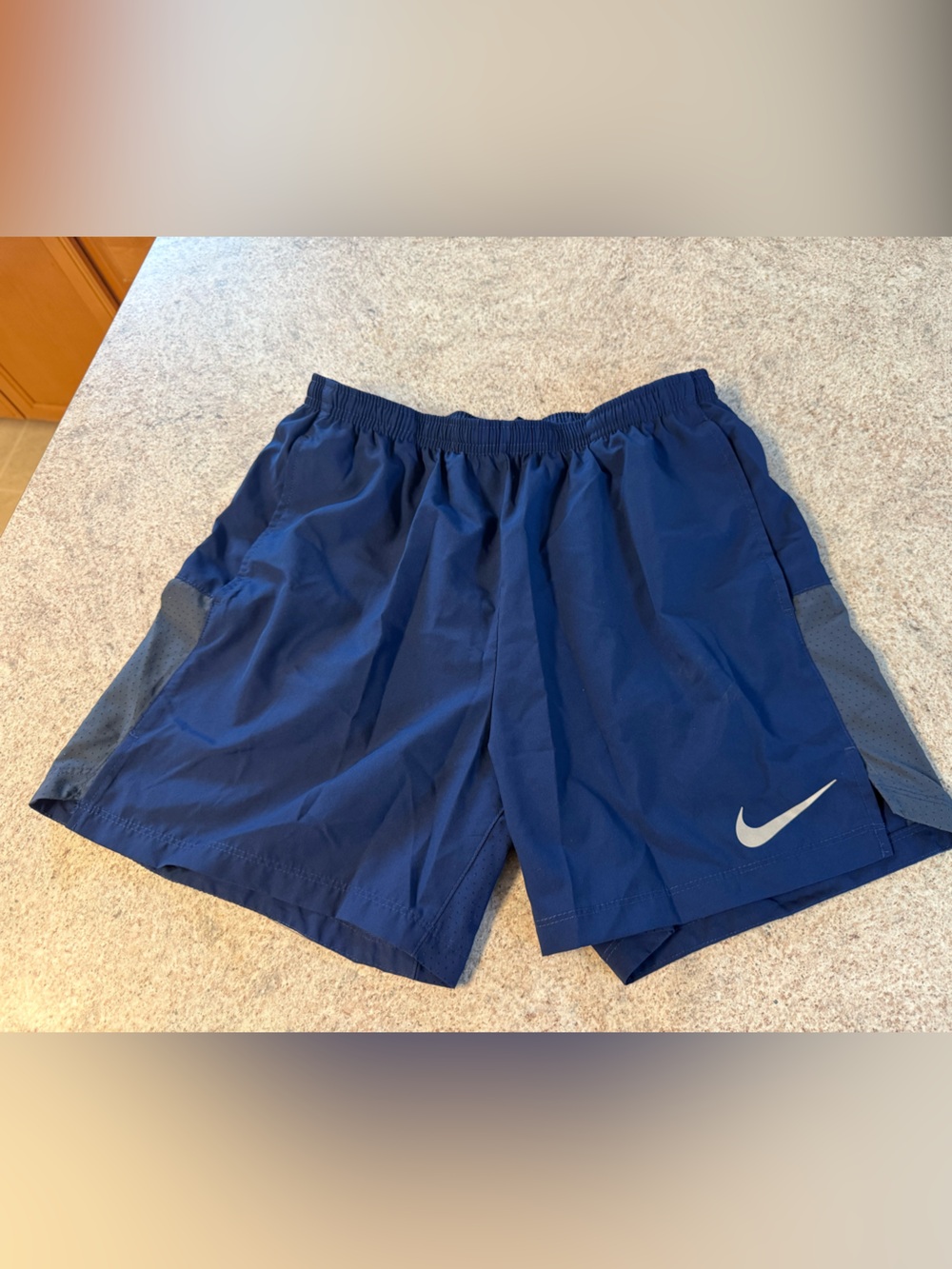 Nike Men’s Navy Blue Athletic Shorts with Reflective Swoosh
